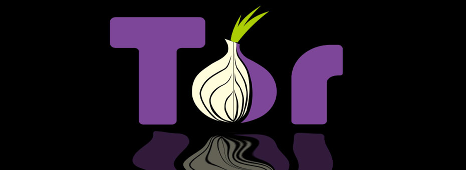 Tor Networks blog title.