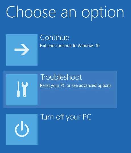 Windows 10 - Advanced - Choose Options.