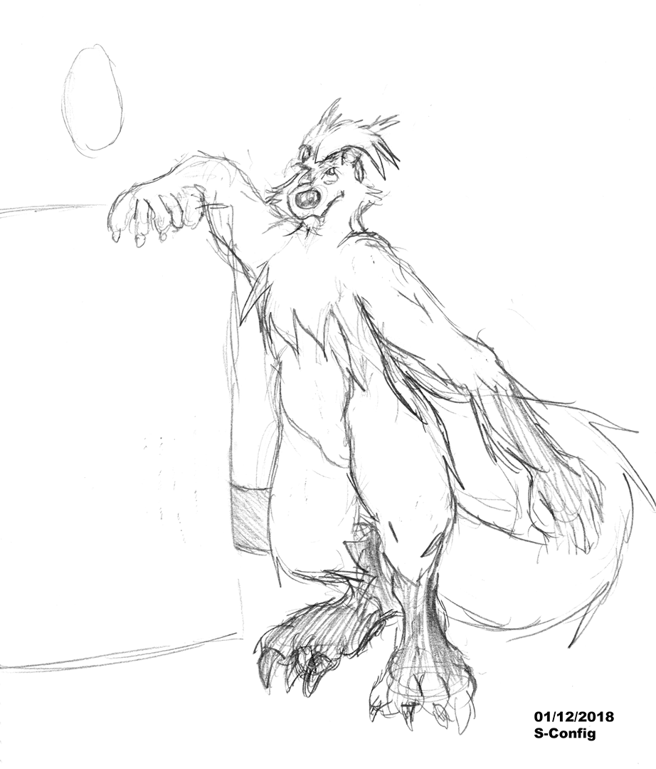 fast bintu sketch.