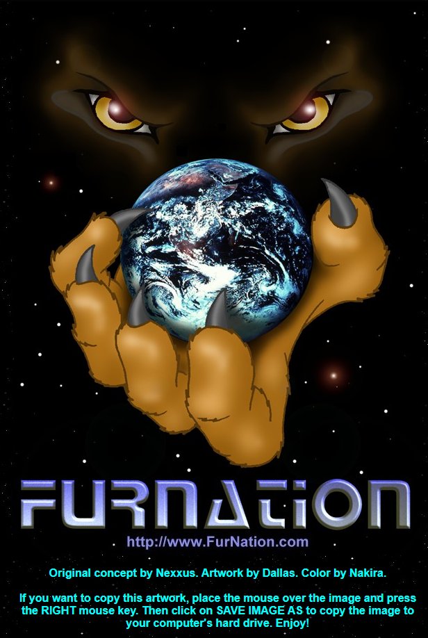 Furnation Poster.